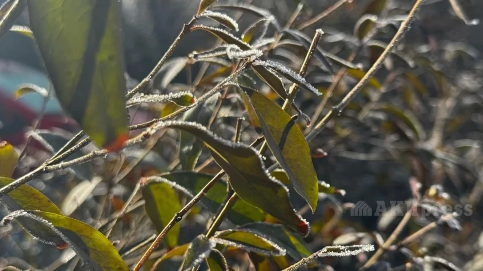 In the second half of the week, it will get colder in Uzbekistan, with rain and snow expected.