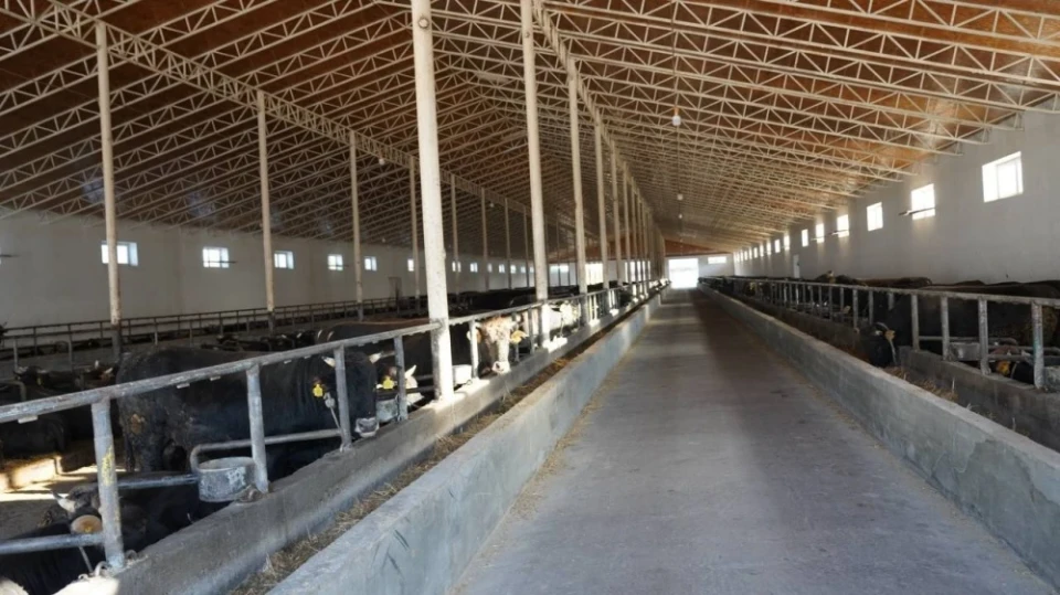 Ministry of Agriculture of the Kyrgyz Republic Summarizes the Results of Breeding Work