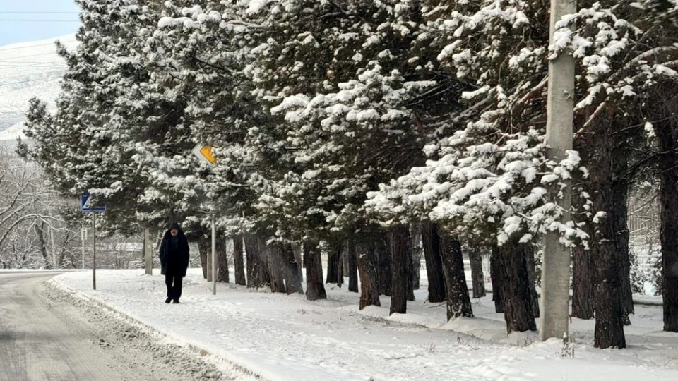 Frosts up to -40 degrees will cover Kazakhstan