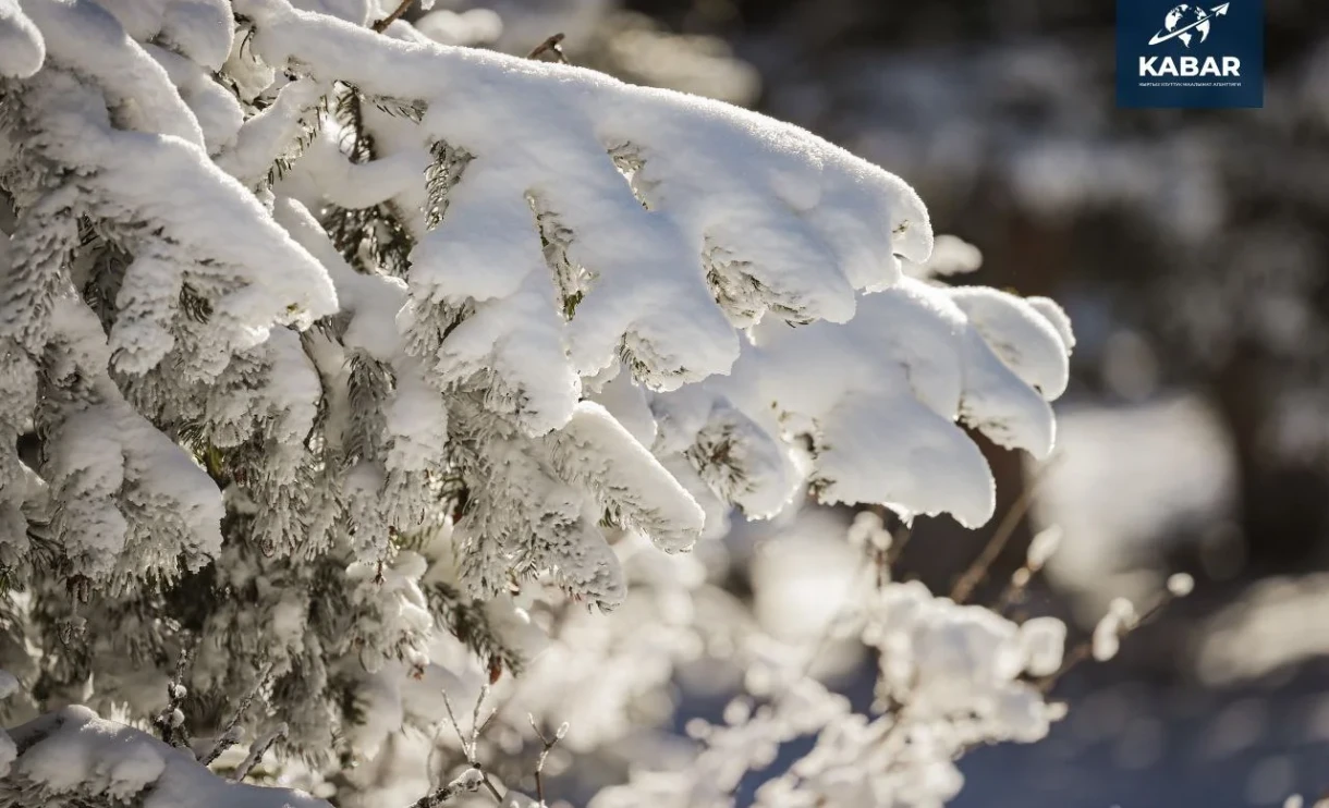Frosts down to -14° and snow: weather forecast in Bishkek for the week