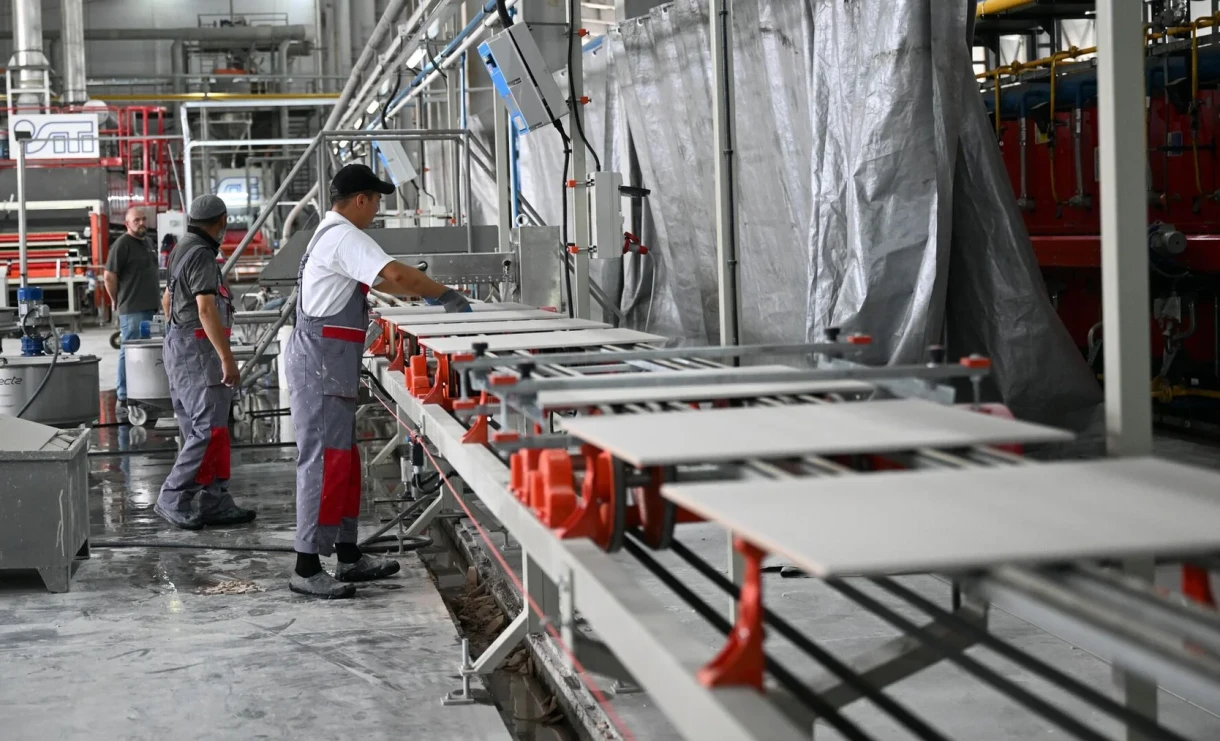 Ministry of Labor: Compliance with Professional Standards in Private Enterprises is Checked Only Upon Requests