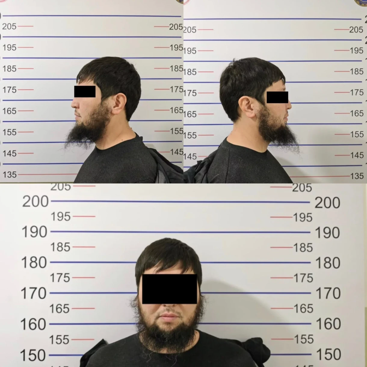 In Bishkek, a suspect has been detained for committing a series of large-scale frauds.