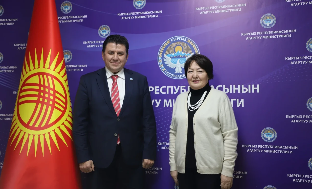 Министрлер кабинетинин билим берүү жана ФАО «жашыл көндүмдөрдү» билим берүүдө өнүктүрүүнү талкуулады