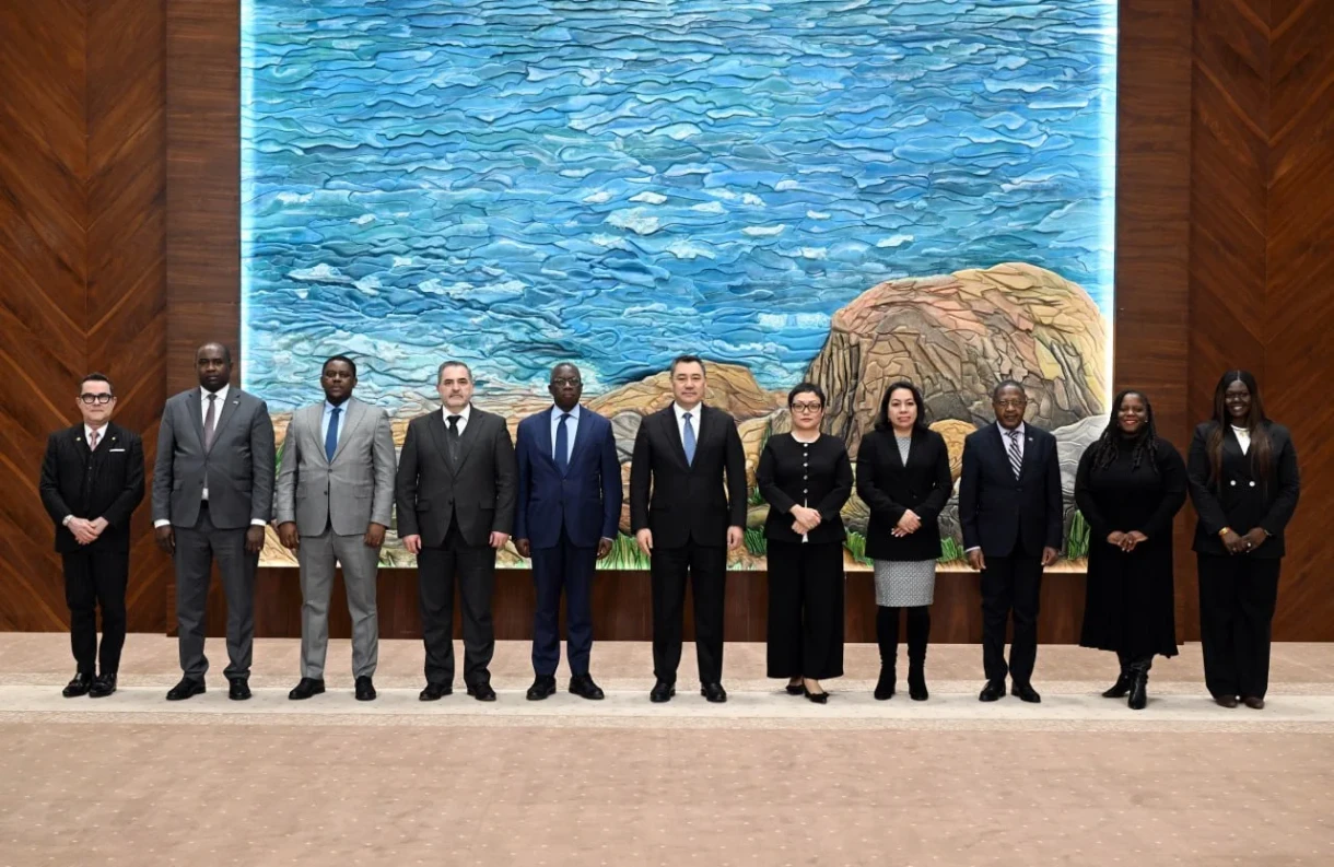 Садыр Жапаров принял постоянных представителей иностранных государств при ООН