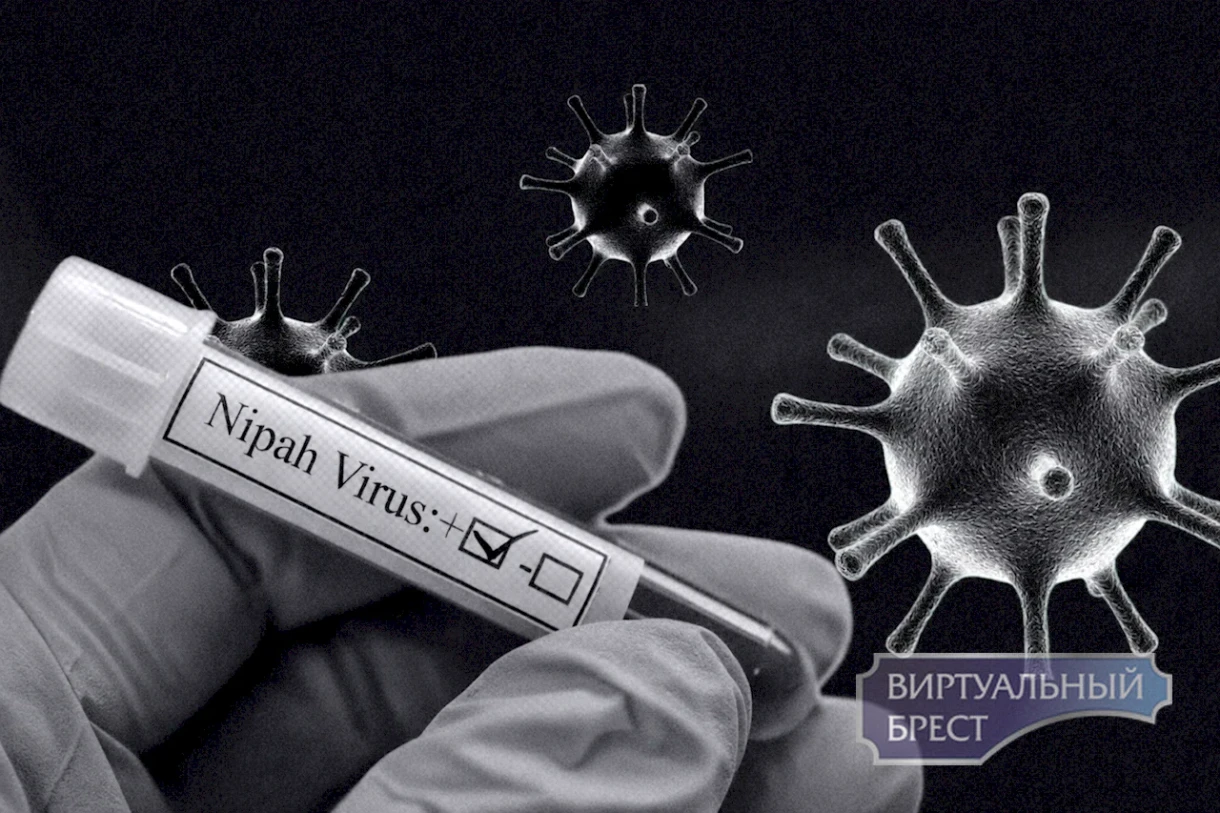 Virologist explains how the Nipah virus transmits from person to person