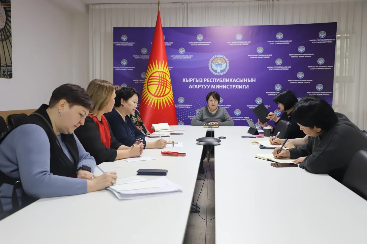 In the Ministry of Education, the interim monitoring of 12-year education was discussed