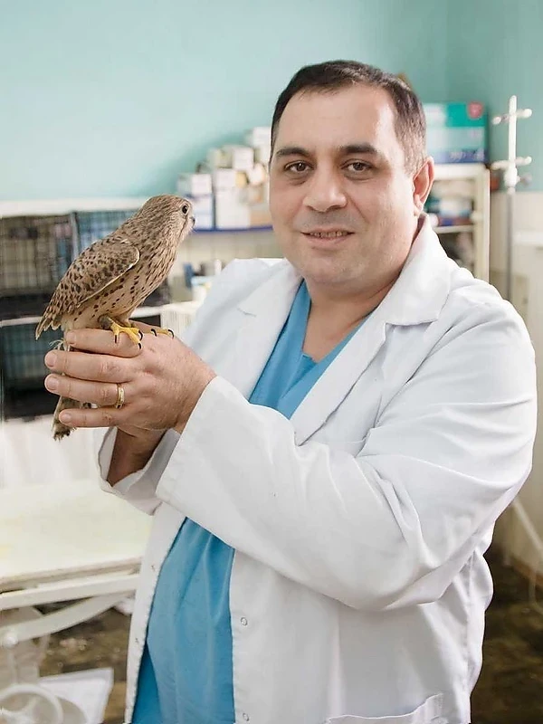 Russian veterinarian Karen Dallakyan arrives in Bishkek to save rare birds