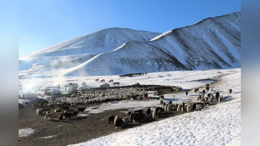 По сравнению с предыдущими десятью днями снежный покров в Монголии уменьшился на 14%
