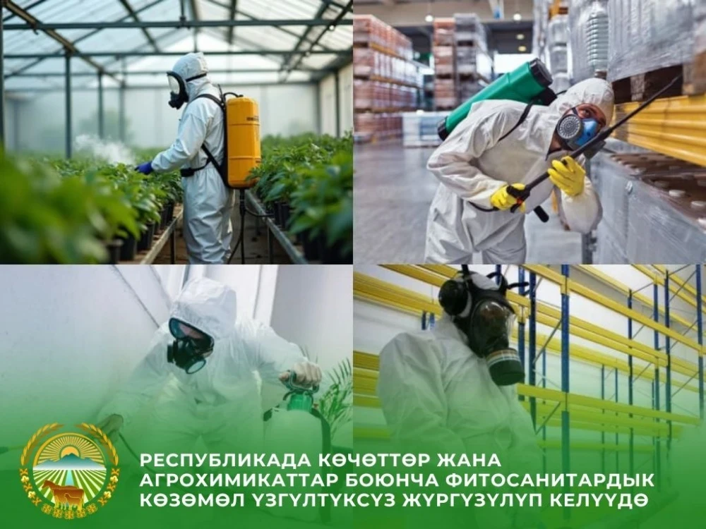 Кыргызстан резко сократил импорт саженцев