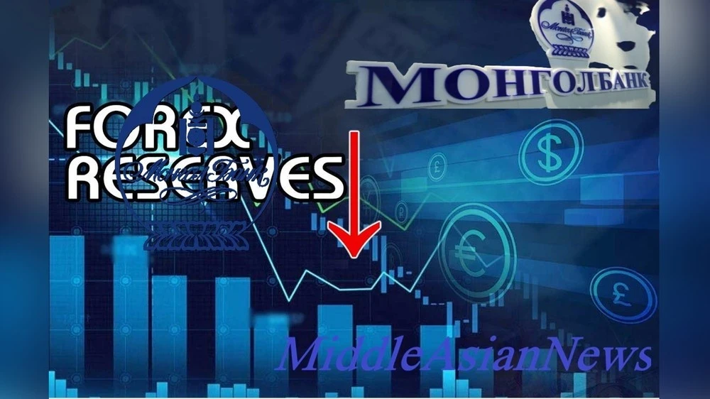 Mongolia's Foreign Currency Reserves Decreased to $6.7 Billion in January