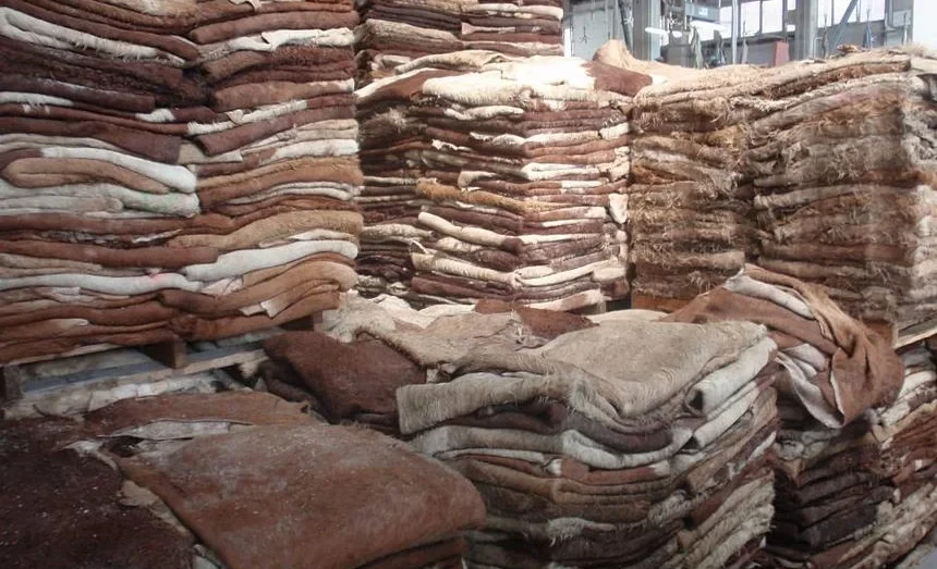 Жители Нарынской области просят построить завод по переработке шкур - депутат