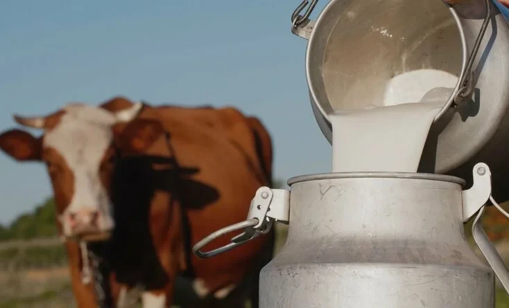 The Ministry of Agriculture reported on raw milk prices in Kyrgyzstan