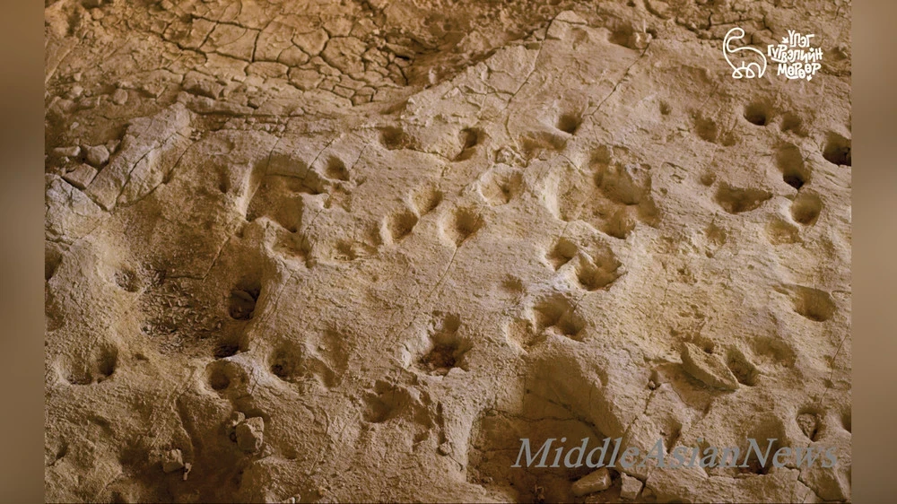 The Mongolian region of Shar-Tsav will be included in the list of UNESCO Global Geoparks.