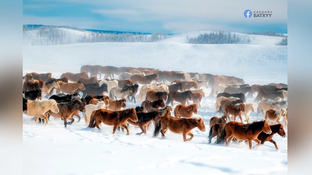 Today, warming is expected in most regions of Mongolia.