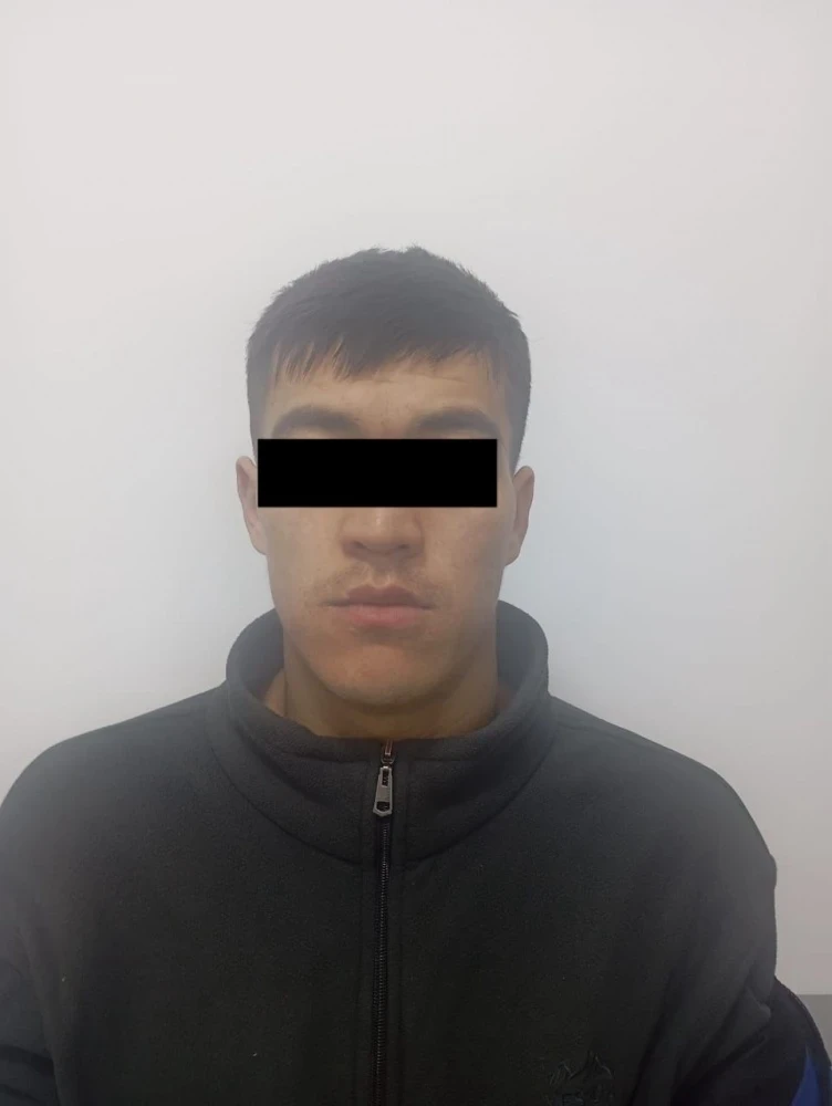 Житель Аламедина продал чужой скот и проиграл деньги в онлайн-играх