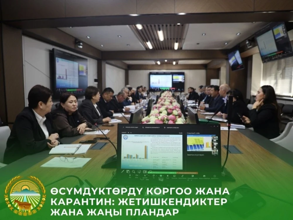 Минсельхоз КР 2026-жылга өсүмдүктөрдү коргоо боюнча пландарды белгиледи