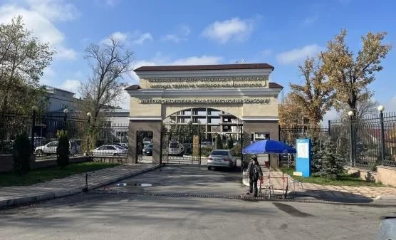 Кыргызстанда жыл сайын 6 миң жаңы рак учурлары аныкталат - Жумабаев