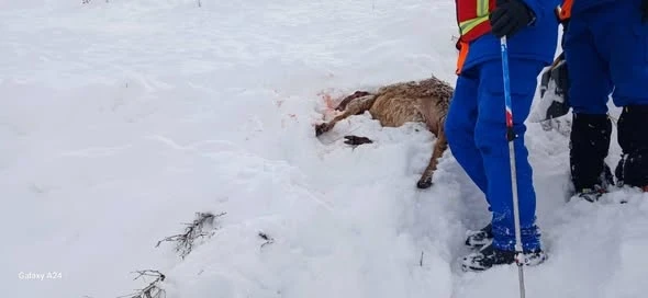 In Suusamyr, 55 people are searching for a man missing under an avalanche