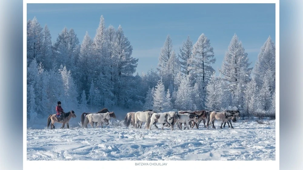 The Weather in Mongolia is Stable