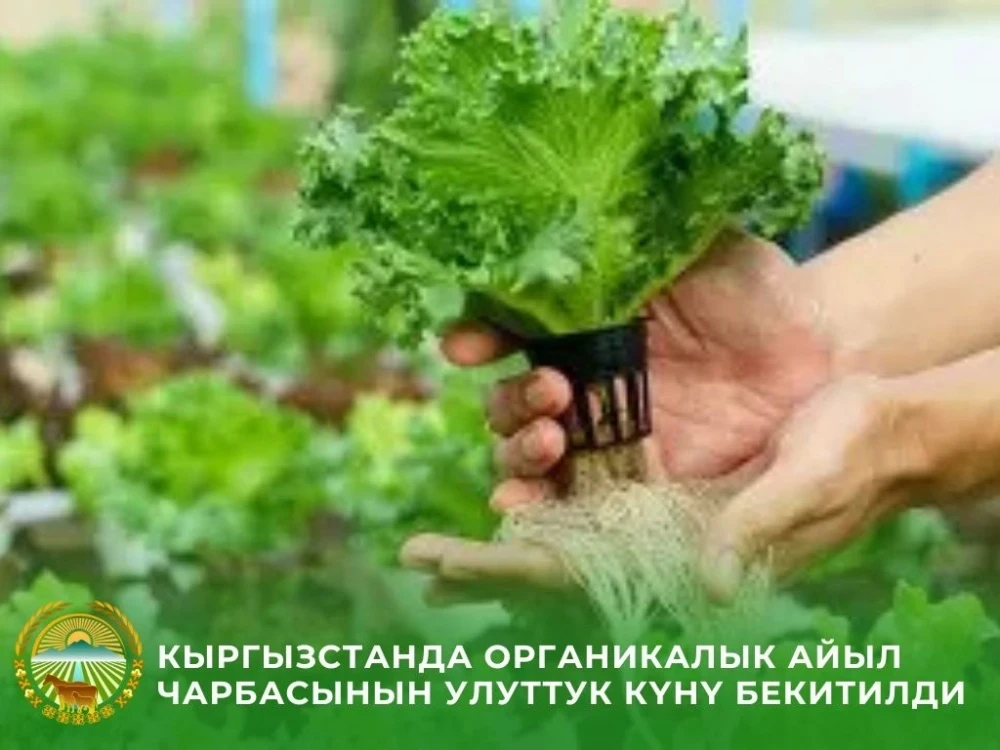 Kyrgyzstan will celebrate Organic Agriculture Day