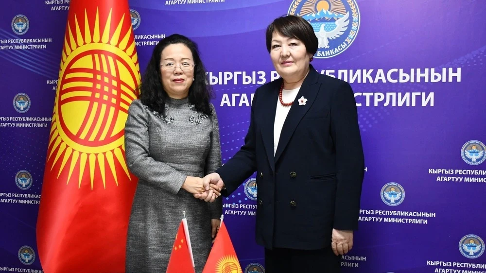 The Minister of Education discussed cooperation in the field of education with the Chinese ambassador.