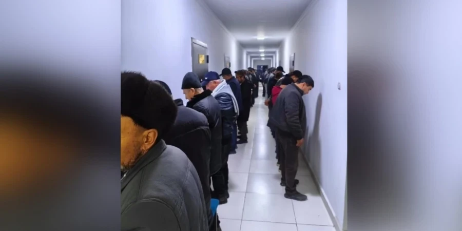 Ошто 300дөн ашык адам кармалды, алар коёндордун мушташына келишкен