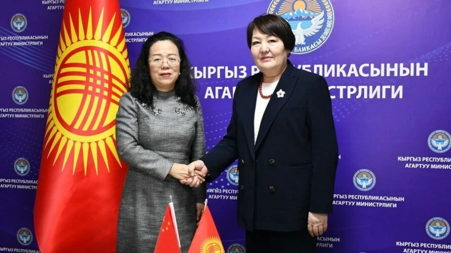 Кытай Кыргызстанга мектепке чейинки жана мектеп билим берүү боюнча жардам берет