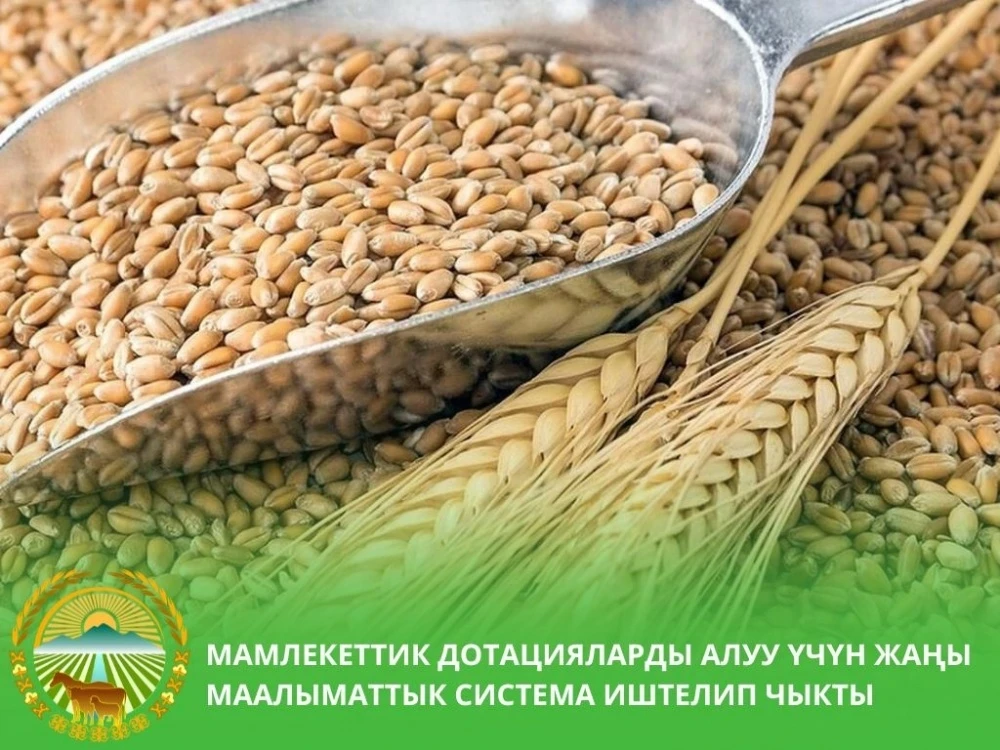 A Digital System for Issuing Agricultural Subsidies Launched in Kyrgyzstan
