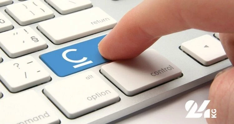 State investments in the economy of Kyrgyzstan exceeded 173 billion soms over five years