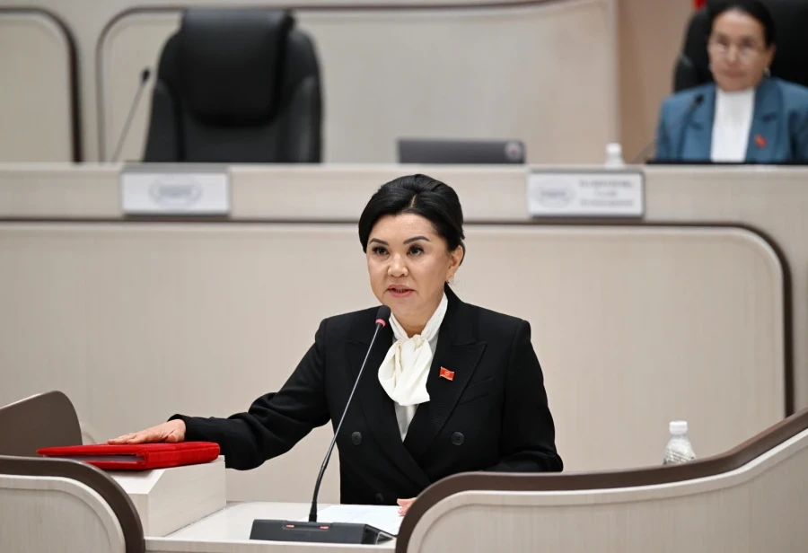Депутат Жылдыз Садырбаева кандын куюу уюштуруу маселеси боюнча: «Кымбат убакыт жоголууда»