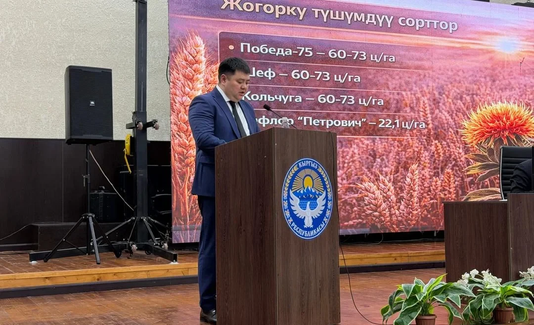 Чүй облусунда дээрлик 419 миң гектар жерге себүү иштерин жүргүзүү пландалууда