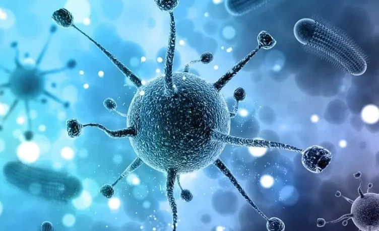 Kyrgyzstan Updates Sanitary Protection Rules and Action Plan for 2026–2030