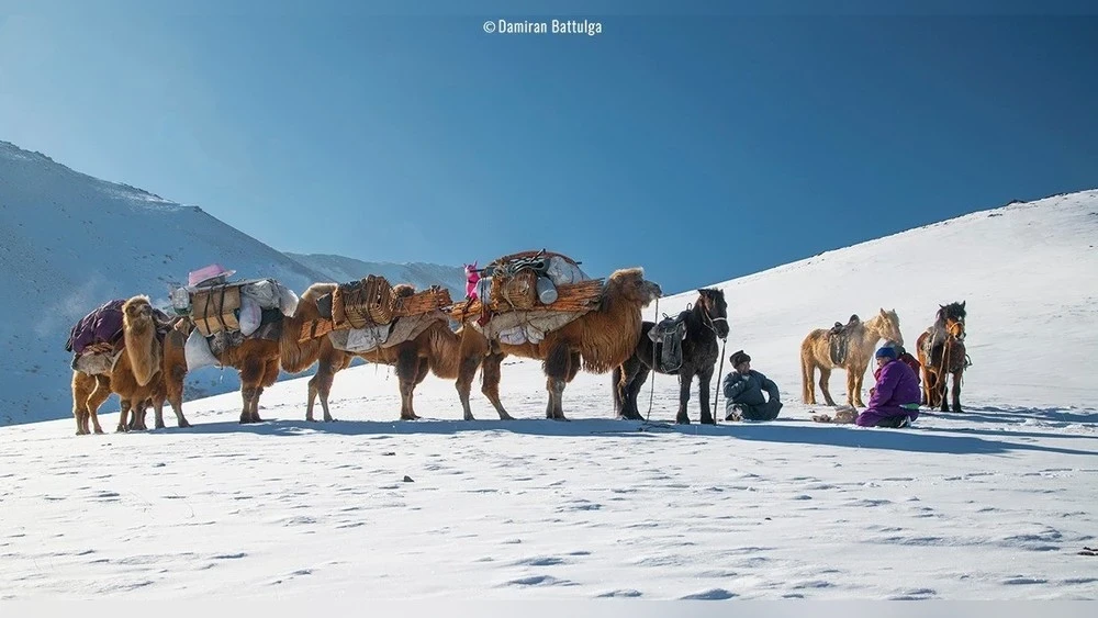 Предупреждение: с завтрашнего дня в большинстве районов Монголии ожидаются сильные морозы