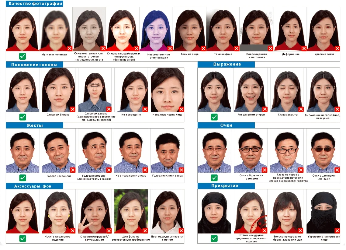 Эми чет өлкөгө паспортту онлайн алмаштырууга болот – «Түндүк» жаңы кызмат