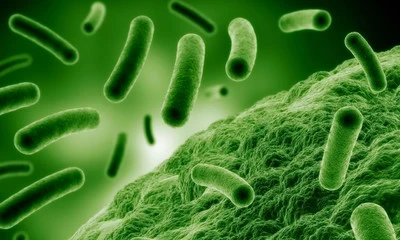 Музда табылган байыркы бактерия заманбап антибиотиктерге туруктуу болуп чыкты