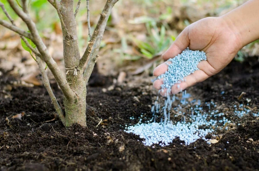 The Cabinet prohibited the export of mineral fertilizers from Kyrgyzstan