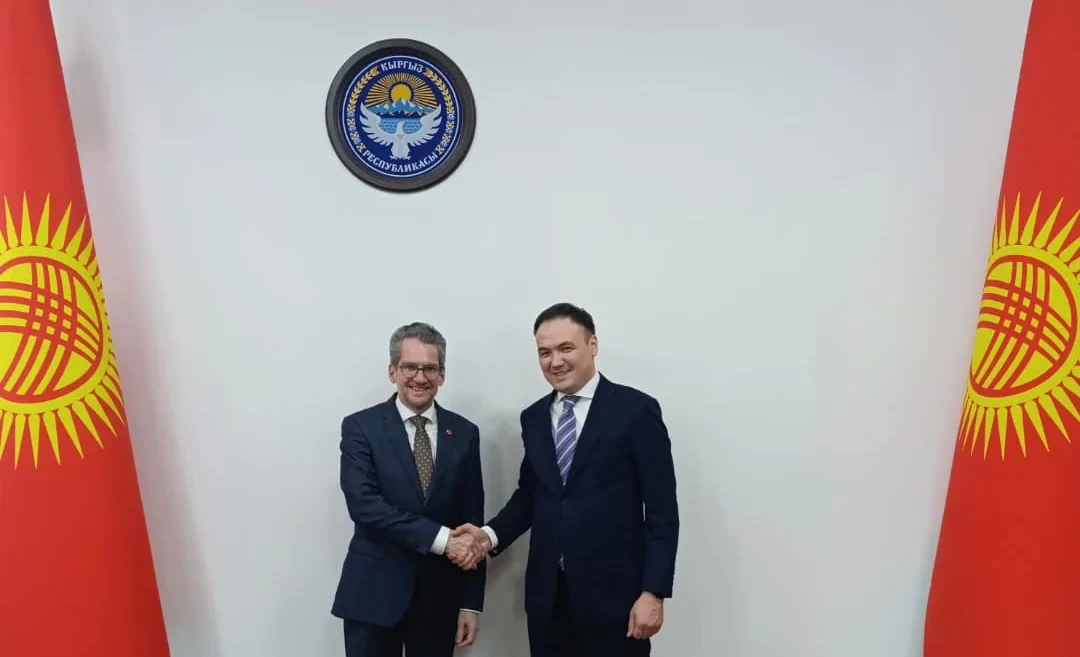 Kyrgyzstan and Switzerland intend to expand cooperation in the field of healthcare