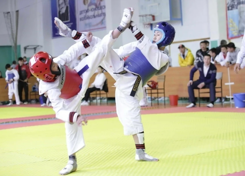 The ITF Taekwondo Cup of Kyrgyzstan has started in Bishkek