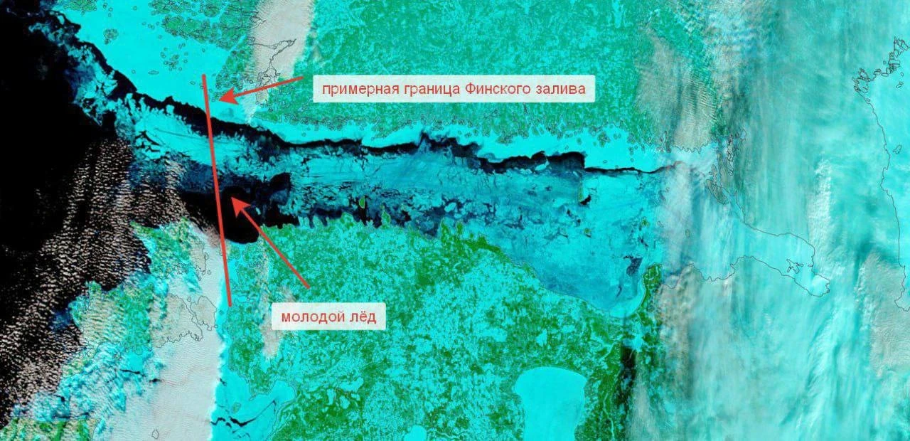 The Gulf of Finland has completely frozen over for the first time in 15 years.