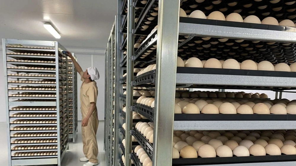 Бакыт Торобаев "Агрокуш" канаттуулар комплексинин кеңейтилүүсүн текшерди