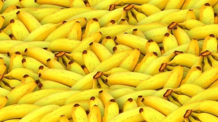 A New Discovery May Help Prevent the Extinction of Bananas