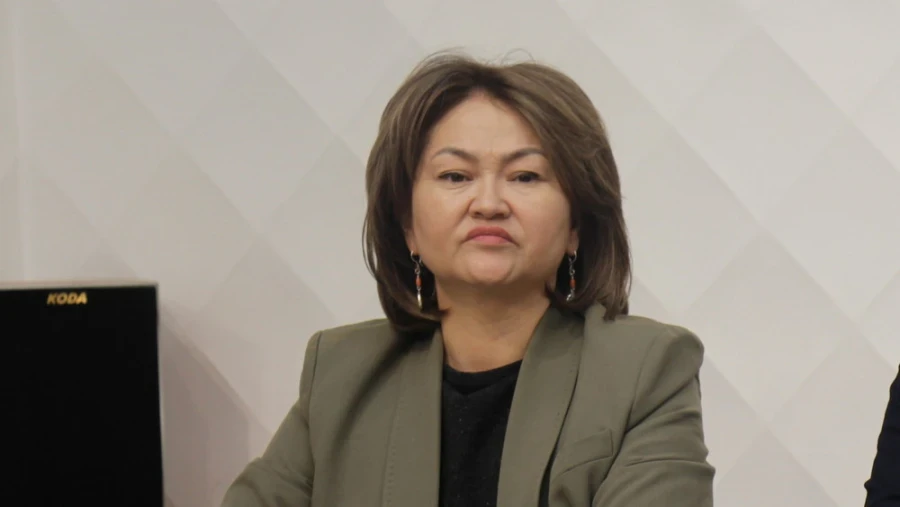 Укук коргоочу Кыргызстанда үй-бүлөлүк зомбулукка каршы күрөшүүдө мамилени өзгөртүүнү сунуштады