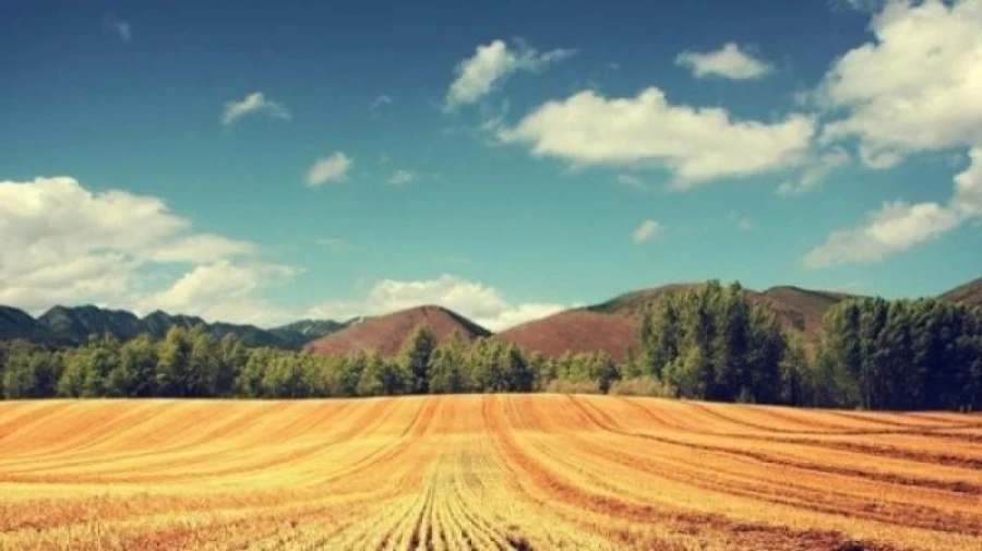 Кыргызстанда 614 миң гектар ээлебеген жерлер табылды