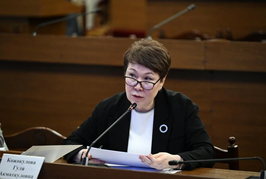 The deputy announced a reduction in quotas for the treatment of Kyrgyz citizens in Turkey.