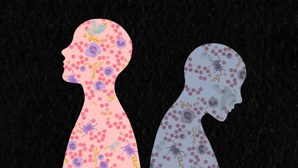 Ушул темадагы башкы сөздү кыргызчага мындайча которсо болот:

"Ушул темадагы илимпоздор жашоо тажрыйбасы иммундук системаны кантип кайра жазып жатканын аныкташты"