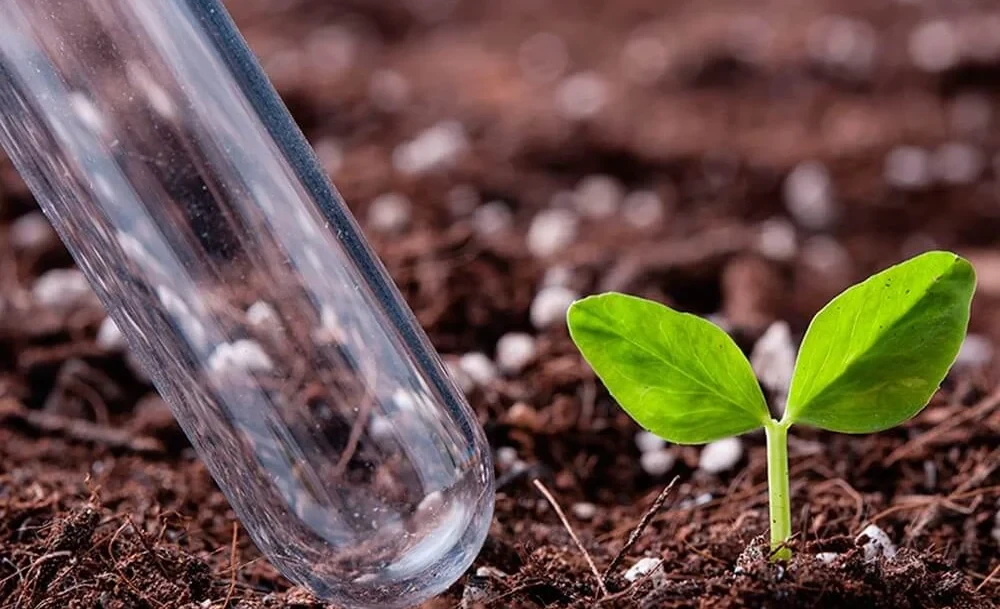 Специалисты рассказали, как правильно проводить анализ почвы