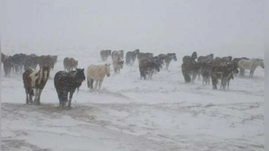 Предупреждения о неблагоприятных погодных условиях