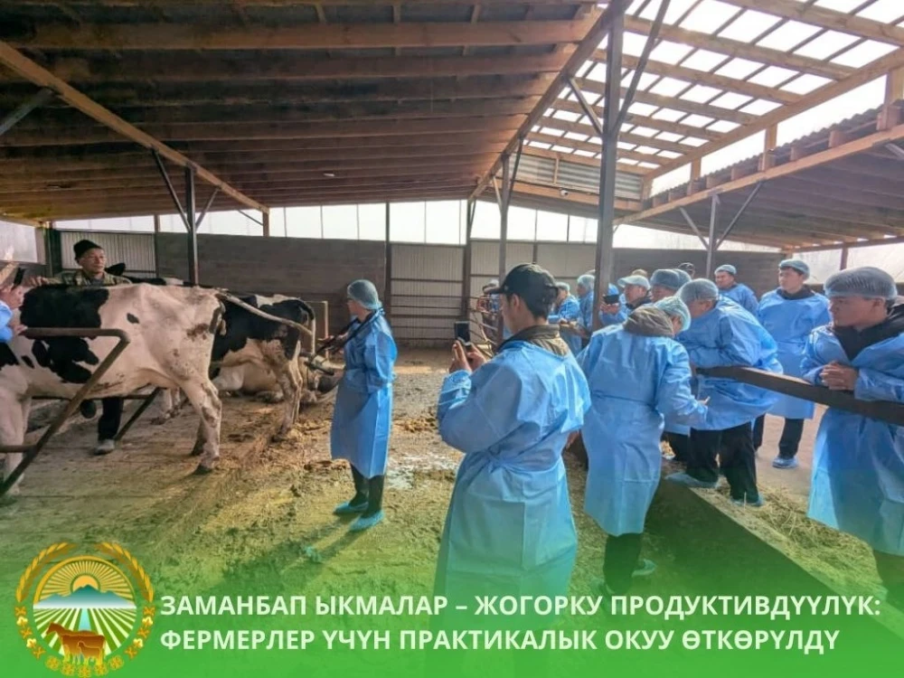 Ош облусунун фермерлерин заманбап мал чарбачылыгы ыкмаларына үйрөтүштү