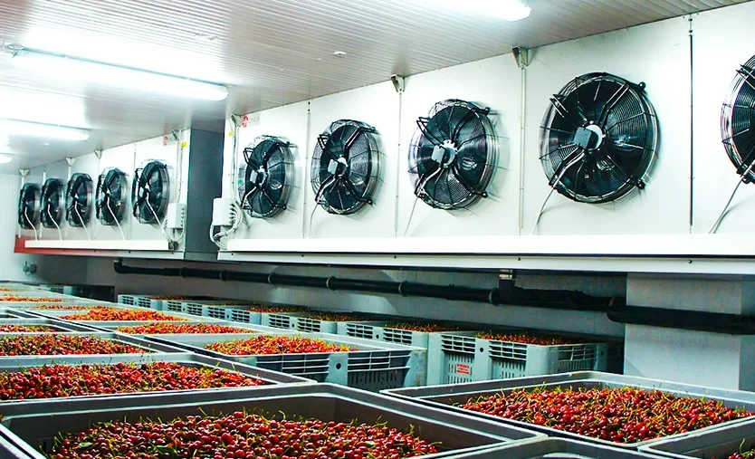 Чүй облусунда муздаткыч комплекс курулат