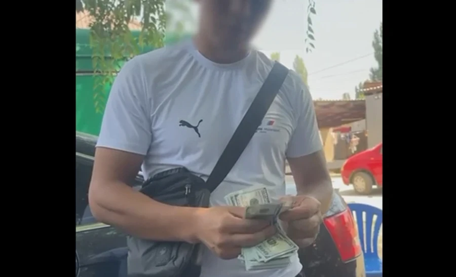 Таласта СВР ИИМдин опери чет элдик жарандан Паслен өсүмдүгү үчүн 35,5 миң доллар алды